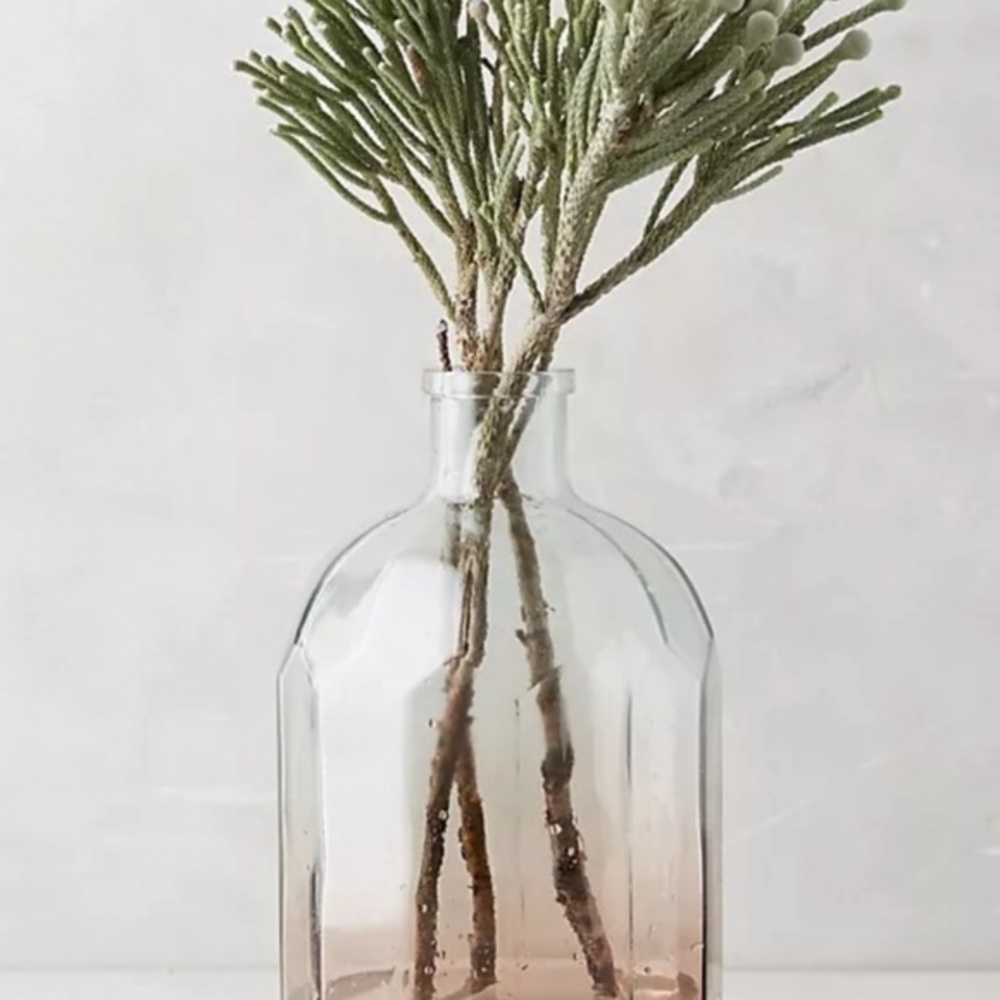 NWT Anthropologie Gradient Glass Vase
